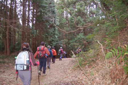 11山入城跡地