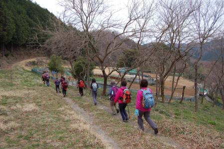 37山里