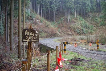 6下山路分岐・道標