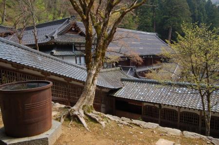 23永平寺・法堂から大庫院を見る
