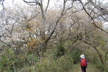 19御岩山へ戻る