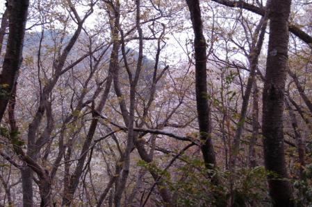 20御岩山へ戻る