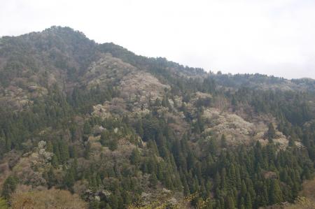 13神峰山