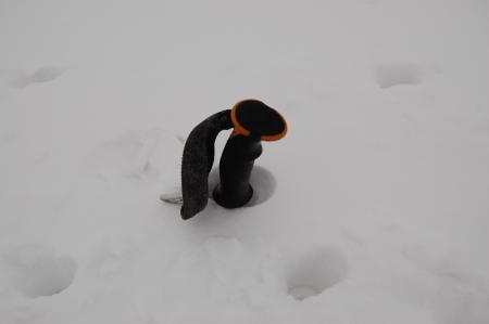12小屋付近の積雪