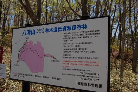 23保存林