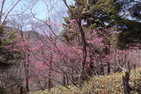 24小丸山付近