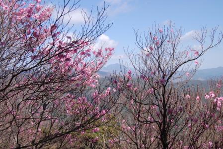 27小丸山