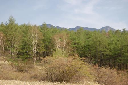 16赤薙山の尾根