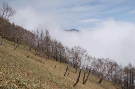 28赤薙山