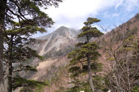 37女峰山が