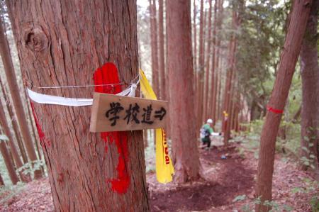9高崎山へ