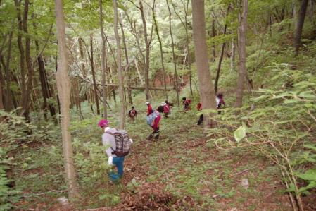 12高崎山から下山