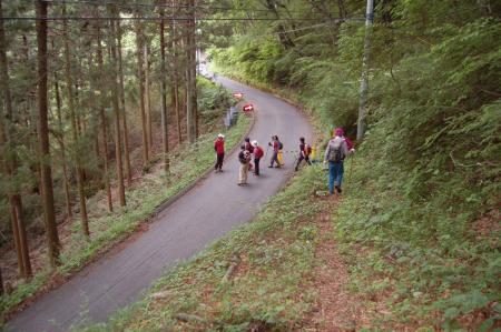13高崎山から下山