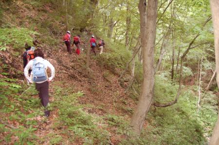 29林道から安寺の道へ
