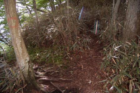 29表縦走路・裏縦走路と合流
