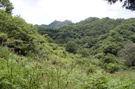 40白木山へ