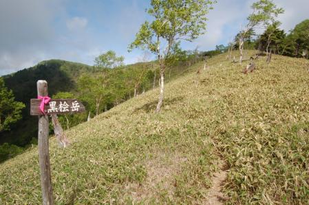 29縦走路・道標4