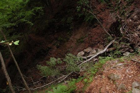 36黒檜岳・下山路