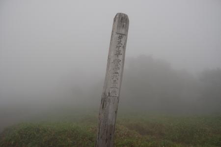 46キスゲ平