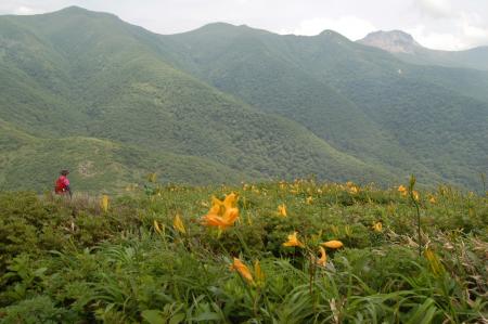41下山