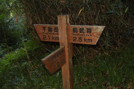 5分岐