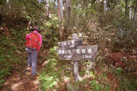 9山道・分岐