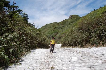 35残雪