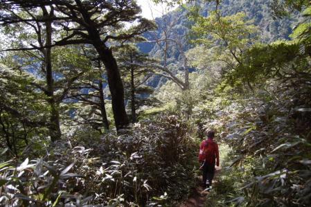 48下山路