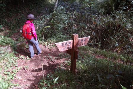 49下山路・分岐
