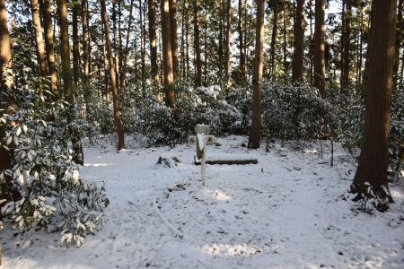 8館岸山