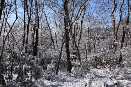 20雪道