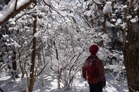 21雪の花