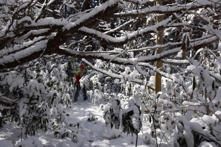 22雪のトンネル