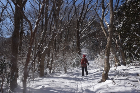 26山道