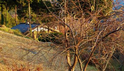 20131204_153402_convert_20131204215721.jpg