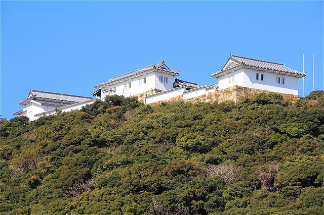 s-20140126-富岡城02