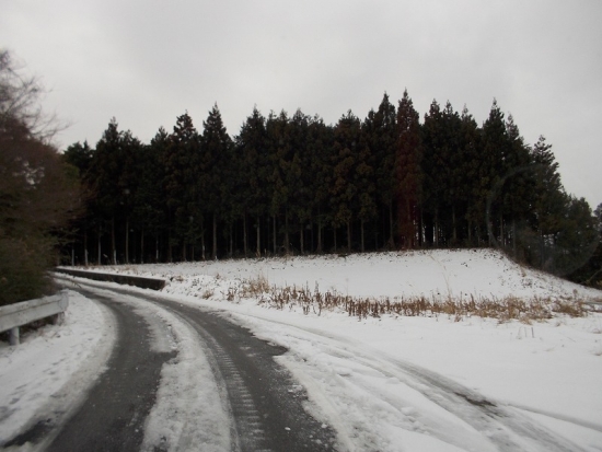 DSCN1182.jpg