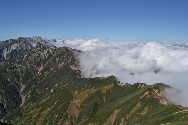 DSC_0181.jpg