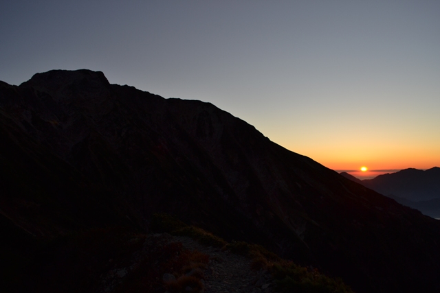 DSC_0208.jpg