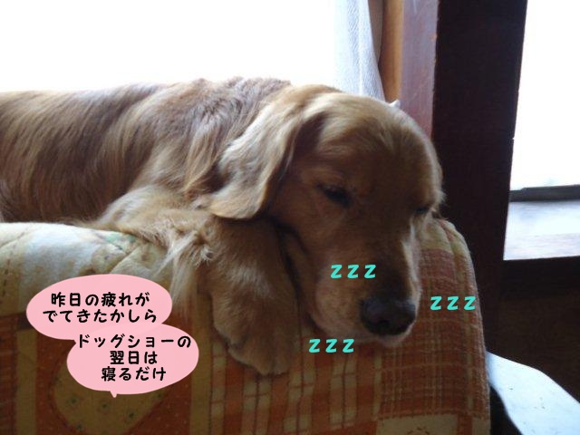 011_20120401202654.jpg