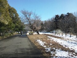 ホームコース小山内裏公園