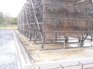 conv0016_2013112910200186d.jpg