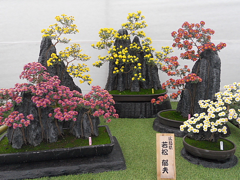 conv0056.jpg