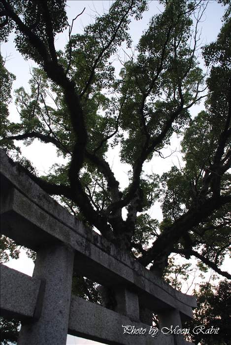 綱敷天満神社・宇賀神社・和霊神社 愛媛県西条市壬生川417｜西条異景 西条祭り・愛媛県西条市