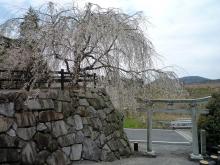 萩原な親父の日記