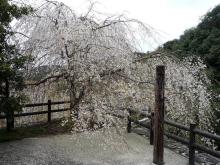 萩原な親父の日記