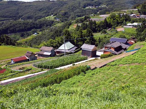 $萩原な親父の日記