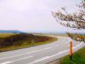 P1010306.jpg