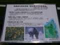 P1050020.jpg