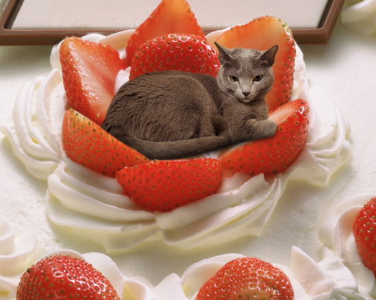 2012みどり誕生日2